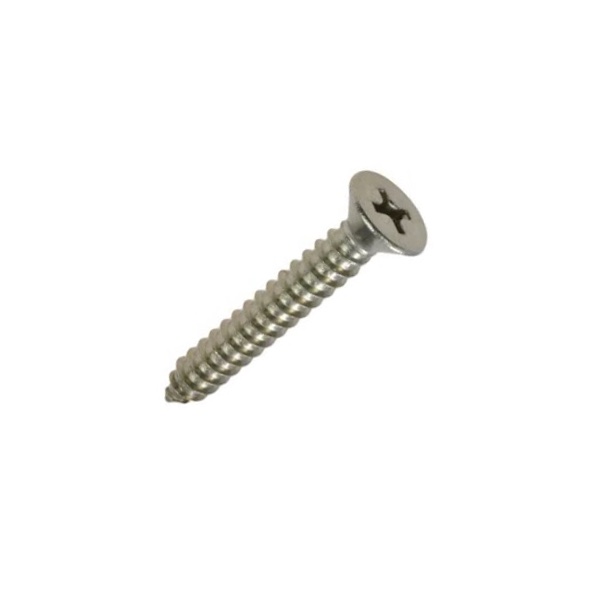 Stainless steel self tapping screws